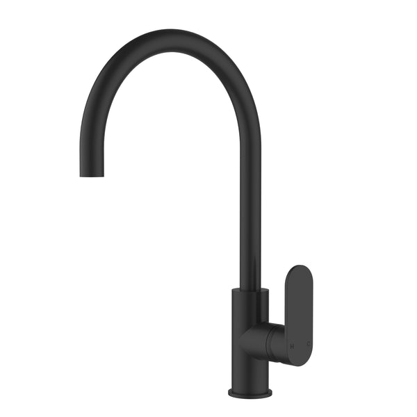 Delphine Kitchen Sink Mixer - Matt Black