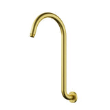 Birmingham Gooseneck Shower Arm - Brushed Gold
