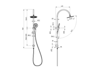 Bronte Gooseneck Multifunction Combo Shower rail - Chrome