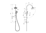 Bronte Gooseneck Multifunction Combo Shower rail - Chrome