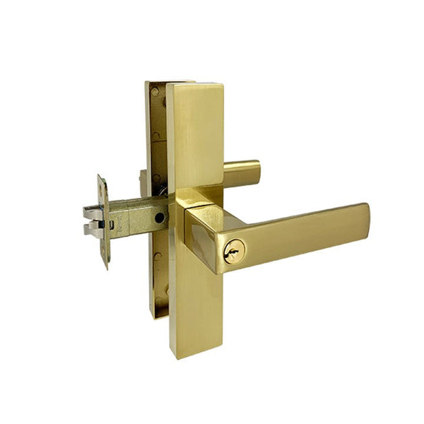 Brushed Gold Finish Entrance Lock Set  - Eva Series