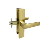 Brushed Gold Finish Passage Handle Set  - Eva Series