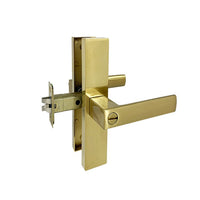 Brushed Gold Finish Privacy Handle Set  - Eva Series