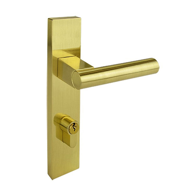 Brushed Gold Finish Entry Door Lock Set