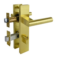 Brushed Gold Finish Entry Door Lock Set